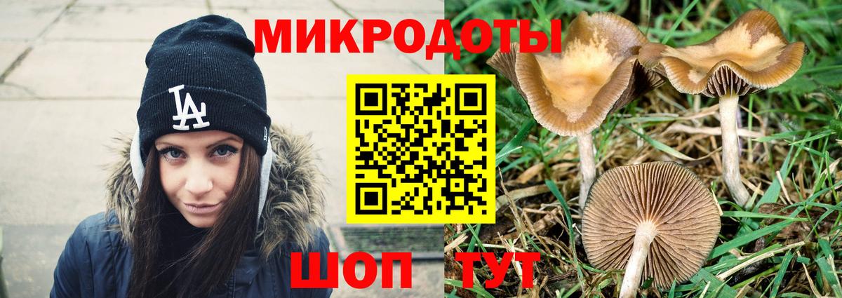 Псилоцибиновые грибы мицелий  даркнет сайт  Вход с VPN  Губкинский  Галлюциногенные грибы мицелий 